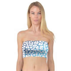 Network Social Neurons Brain Cells Bandeau Top by Simbadda