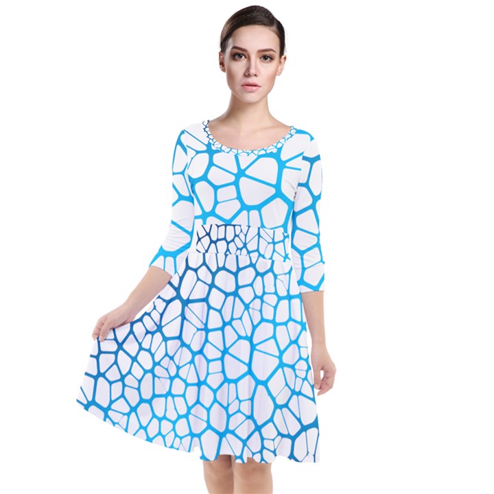 Network Social Neurons Brain Cells Quarter Sleeve Waist Band Dress