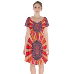 Color Background Structure Lines Short Sleeve Bardot Dress by Simbadda