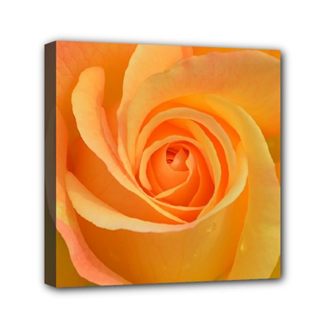 Flower Plant Rose Nature Garden Mini Canvas 6  X 6  (stretched) by Celenk