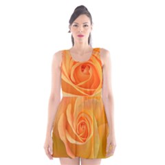 Flower Plant Rose Nature Garden Scoop Neck Skater Dress by Celenk