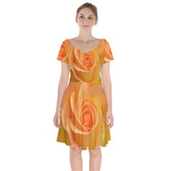 Flower Plant Rose Nature Garden Short Sleeve Bardot Dress