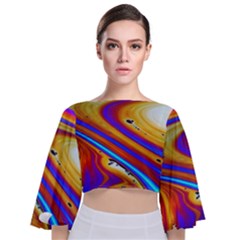 Soap Bubble Color Colorful Tie Back Butterfly Sleeve Chiffon Top by Celenk