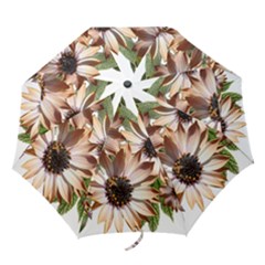 Sun Daisies Leaves Flowers Folding Umbrellas by Celenk