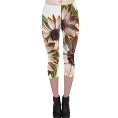 Sun Daisies Leaves Flowers Capri Leggings  by Celenk