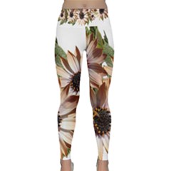 Sun Daisies Leaves Flowers Lightweight Velour Classic Yoga Leggings