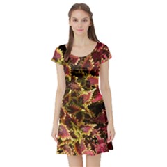 Plant Leaves Foliage Pattern Short Sleeve Skater Dress by Celenk