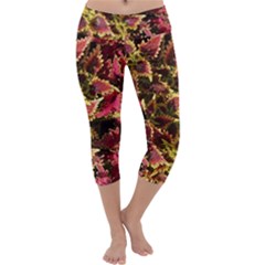 Plant Leaves Foliage Pattern Capri Yoga Leggings by Celenk