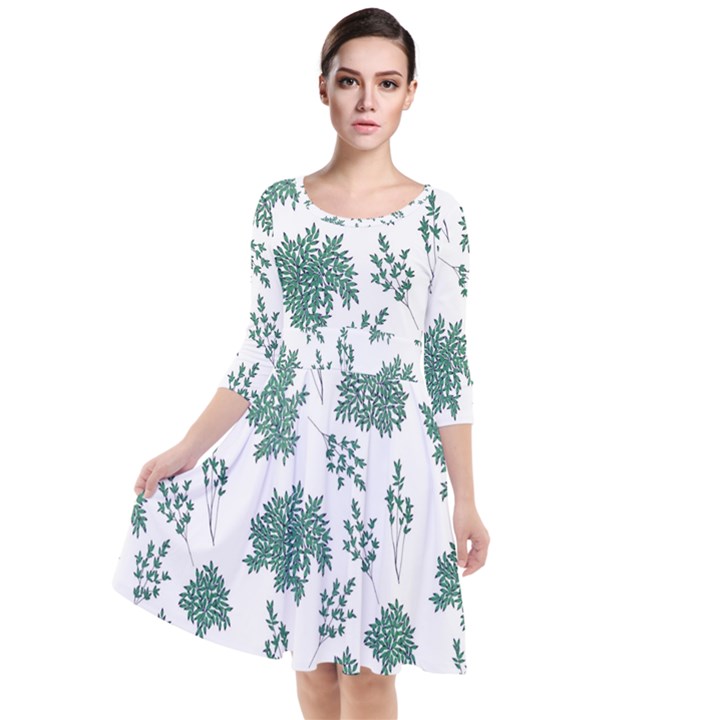 Flower Pattern Pattern Design Quarter Sleeve Waist Band Dress