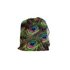 Peacock Feathers Color Plumage Drawstring Pouch (small) by Celenk