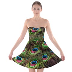 Peacock Feathers Color Plumage Strapless Bra Top Dress by Celenk