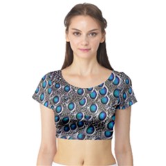 Peacock Pattern Close Up Plumage Short Sleeve Crop Top by Celenk