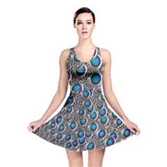 Peacock Pattern Close Up Plumage Reversible Skater Dress