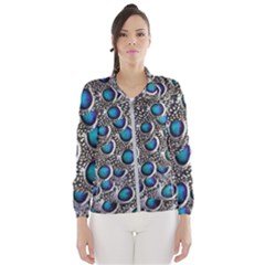 Peacock Pattern Close Up Plumage Windbreaker (women)