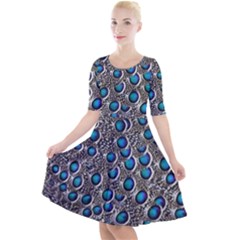 Peacock Pattern Close Up Plumage Quarter Sleeve A-line Dress