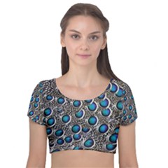 Peacock Pattern Close Up Plumage Velvet Short Sleeve Crop Top  by Celenk