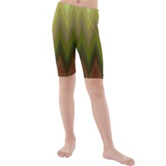 Zig Zag Chevron Classic Pattern Kids  Mid Length Swim Shorts