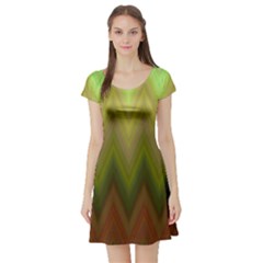 Zig Zag Chevron Classic Pattern Short Sleeve Skater Dress