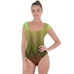 Zig Zag Chevron Classic Pattern Short Sleeve Leotard 