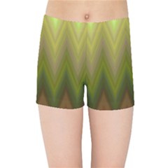 Zig Zag Chevron Classic Pattern Kids Sports Shorts