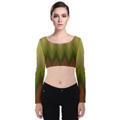 Zig Zag Chevron Classic Pattern Velvet Long Sleeve Crop Top by Celenk