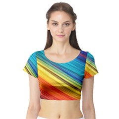 Rainbow Short Sleeve Crop Top by NSGLOBALDESIGNS2