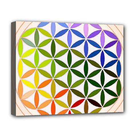 Mandala Rainbow Colorful Reiki Deluxe Canvas 20  X 16  (stretched) by Simbadda