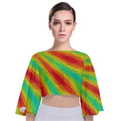 Graphic Kaleidoscope Geometric Tie Back Butterfly Sleeve Chiffon Top