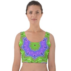 Abstract Art Colorful Velvet Crop Top