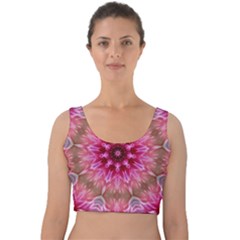 Flower Mandala Art Pink Abstract Velvet Crop Top by Simbadda