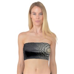 Fractal Mandala Feathers Grey Bandeau Top