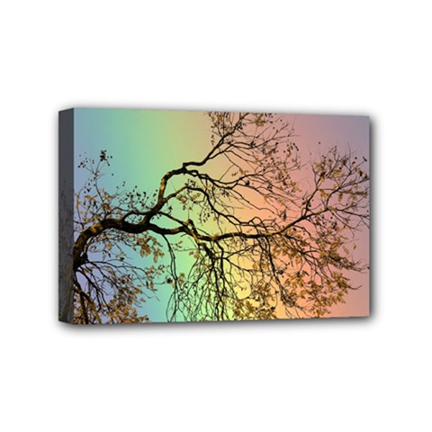 Rainbow Branch Boxer Shorts Mini Canvas 6  X 4  (stretched) by Simbadda