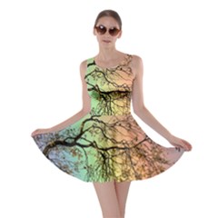 Rainbow Branch Boxer Shorts Skater Dress