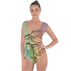 Rainbow Branch Boxer Shorts Short Sleeve Leotard 