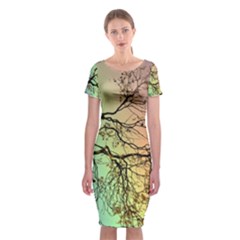 Rainbow Branch Boxer Shorts Classic Short Sleeve Midi Dress