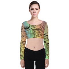 Rainbow Branch Boxer Shorts Velvet Long Sleeve Crop Top by Simbadda