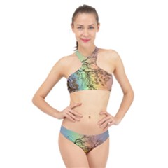 Rainbow Branch Boxer Shorts High Neck Bikini Set by Simbadda