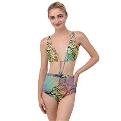 Rainbow Branch Boxer Shorts Tied Up Two Piece Swimsuit