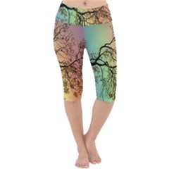 Rainbow Branch Boxer Shorts Lightweight Velour Cropped Yoga Leggings by Simbadda