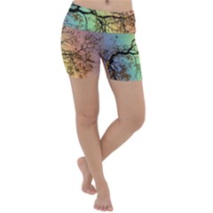 Rainbow Branch Boxer Shorts Lightweight Velour Yoga Shorts