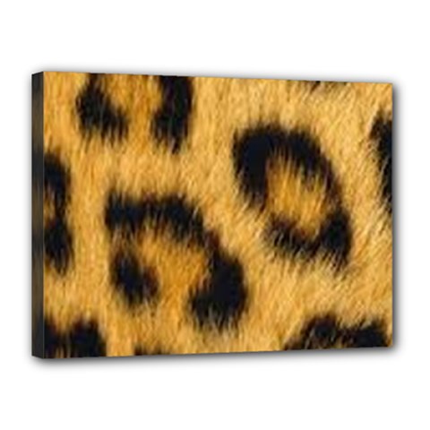 Animal Print Canvas 16  X 12  (stretched) by NSGLOBALDESIGNS2