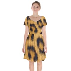 Leopard Print Short Sleeve Bardot Dress by NSGLOBALDESIGNS2