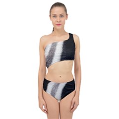 Stella Animal Print Spliced Up Two Piece Swimsuit