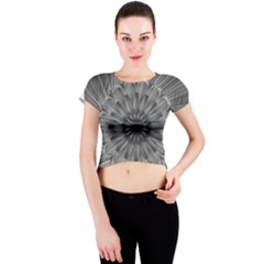 Sunflower Print Crew Neck Crop Top by NSGLOBALDESIGNS2