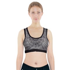 Sunflower Print Sports Bra With Pocket by NSGLOBALDESIGNS2