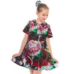 Dedelion Kids  Short Sleeve Shirt Dress