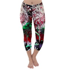 Dedelion Capri Winter Leggings 