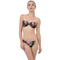 Dedelion Classic Bandeau Bikini Set