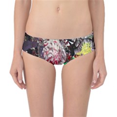 Dedelion Classic Bikini Bottoms