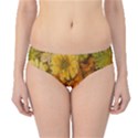 Yellow Zinnias Hipster Bikini Bottoms View1